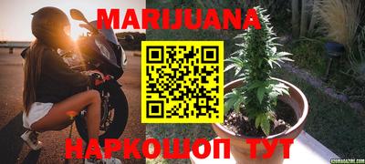 стафф Новокубанск